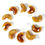 Thumbnail: Fortune Cookie