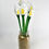 Thumbnail: Calla Lily