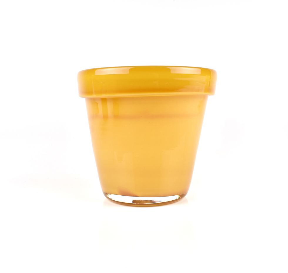Thumbnail: Sunshine Planter