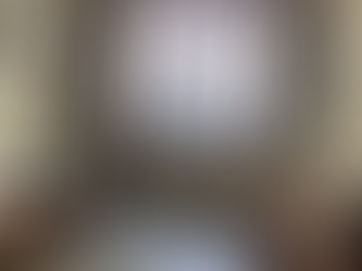 Bishops Palace - Wells