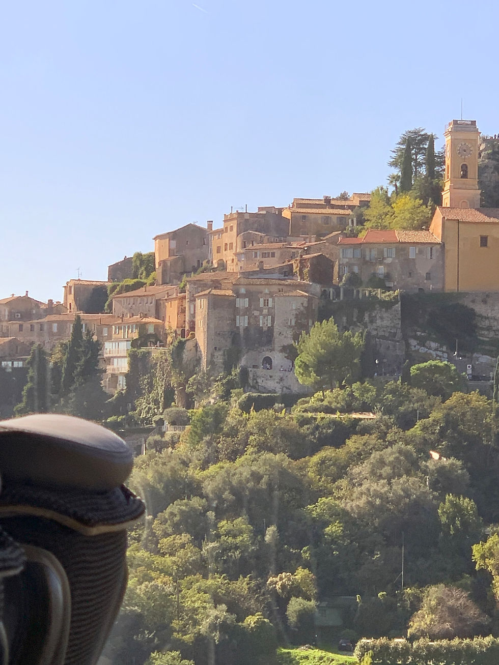 Rich day: Cannes, Nice, Eze & Monaco/Monte Carlo
