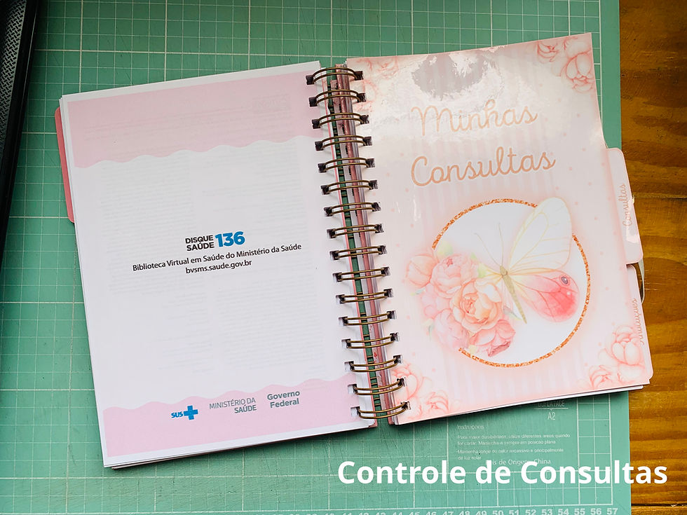 Miniatura: Jardim Encantado BORBOLETAS - Caderneta de Vacina Plus Personalizada