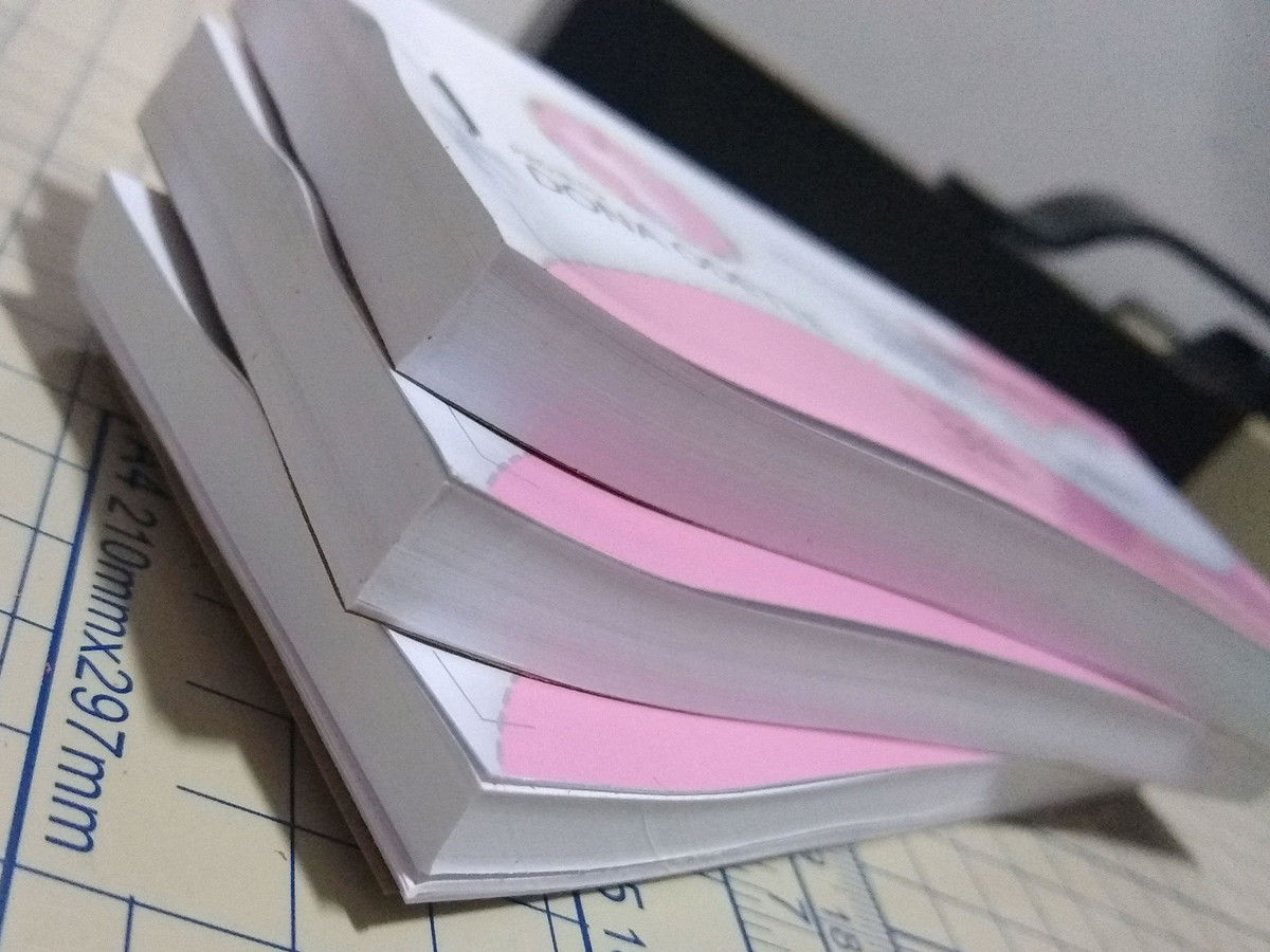 300 Números Talão Personalizado paração entre amigos (Rifa)