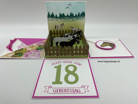Explosionsbox, Pferde, Reiten