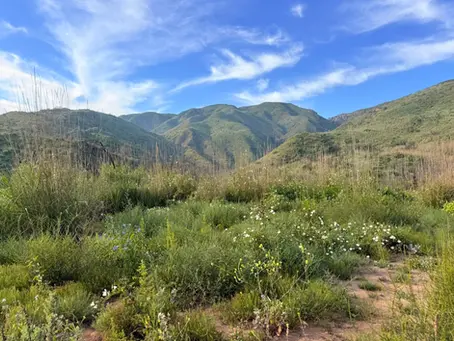 3/1: Los Leones Trail w/Anthony Yates