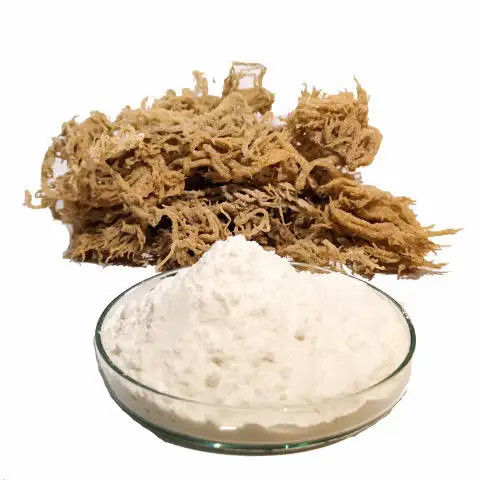Hình thu nhỏ: SEA MOSS POWDER