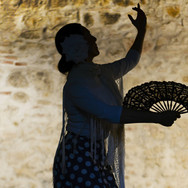 Woman Shadow with Fan