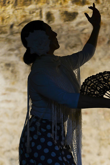 Mujer con abanico Sombra