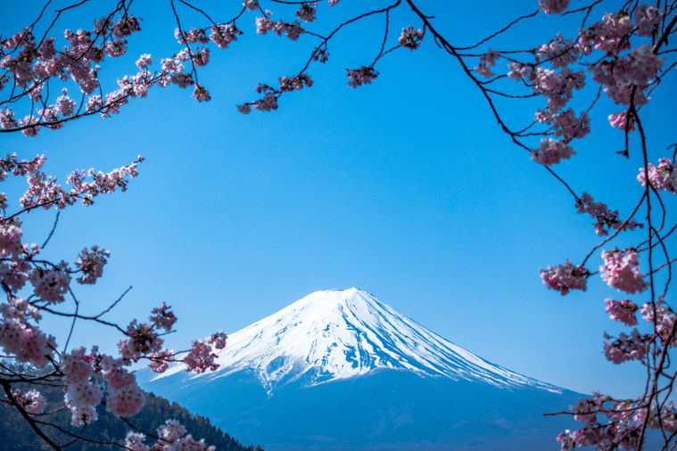 Monte Fuji bianco con cornice di fiori