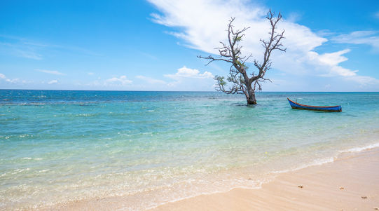 Albero solitario nell'acqua cristallina e barca blu sulla spiaggia di Tablolong, Indonesia
