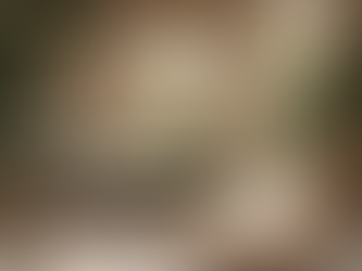 Revitalize Your Team with Boutique Offsite Retreats