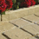 Thumbnail: RAJ-Sandstone-EDGING