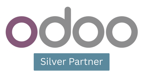 Silver Partner.png
