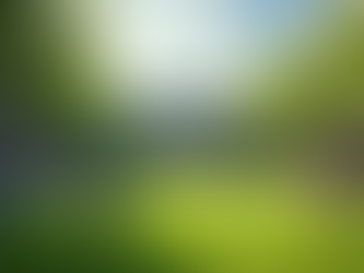 Sustainable Development: Transforming Education for the Future