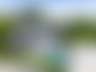 DV-1398 Chalotte house