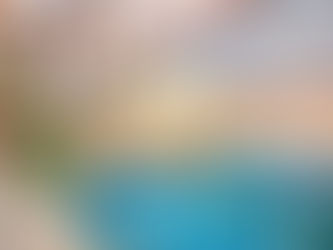 DV-685 PP First Korea A