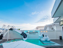 DV-2239 BLACK&aWHITE