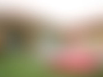 DV-331 ธัญวลัย (4 ห้องนอน)