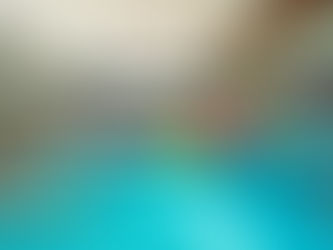 DV-289 Glass House B4