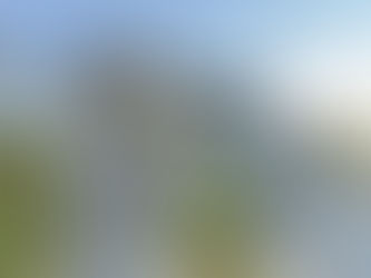 DV-2599 ฟาร์มเฮ้า