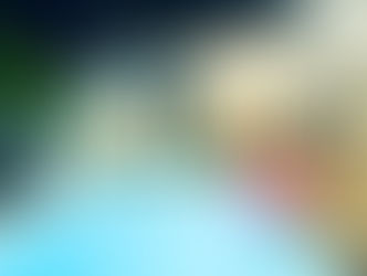 DV-2262 Madaguscar 1