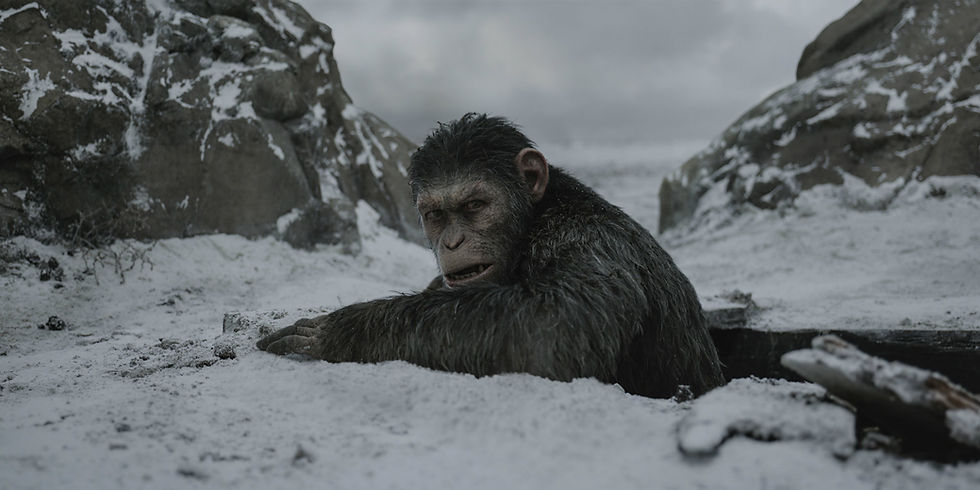 Caesar the Ape