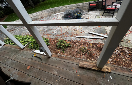 Screened-In Porch Repair & Repaint