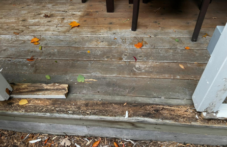 Screened-In Porch Repair & Repaint