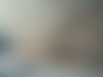 Effective Ways to Fixing Bowing Walls