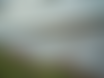 Reliable Solutions to House Settling