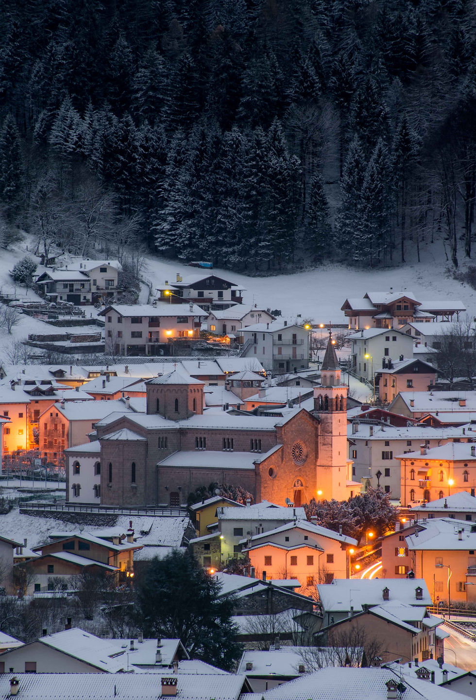 Miniatura: PAESE NATALIZIO
