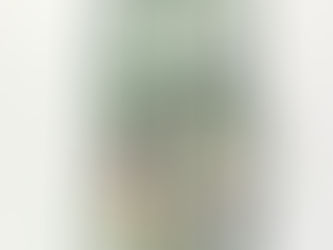 Mini Álbum Happy Wishes :-)