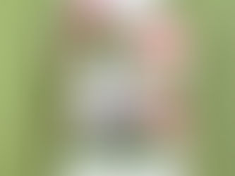 Mini Álbum c/ 1 Página