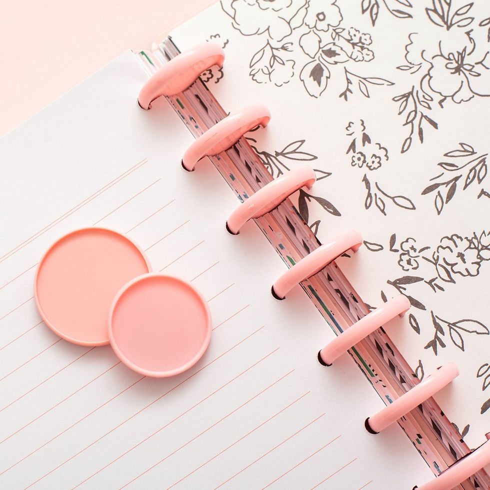 Miniatura: Discos para Caderno Inteligente - Crate Paper