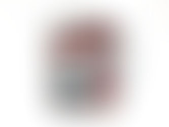 Mini Álbum Feito com 1 Papel de Scrapbook