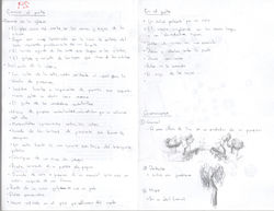 Scan29-2