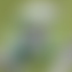 Shaping a Greener Future: The Role of Climate Change Education in Schools