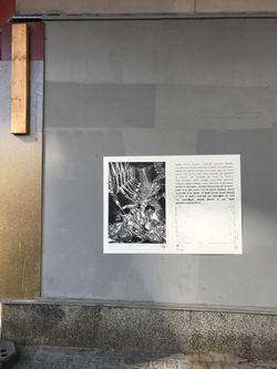 32_50, Gourmandise, rue Feronstrée