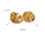 Miniature : Boucle d'oreilles gincko acier inoxydable