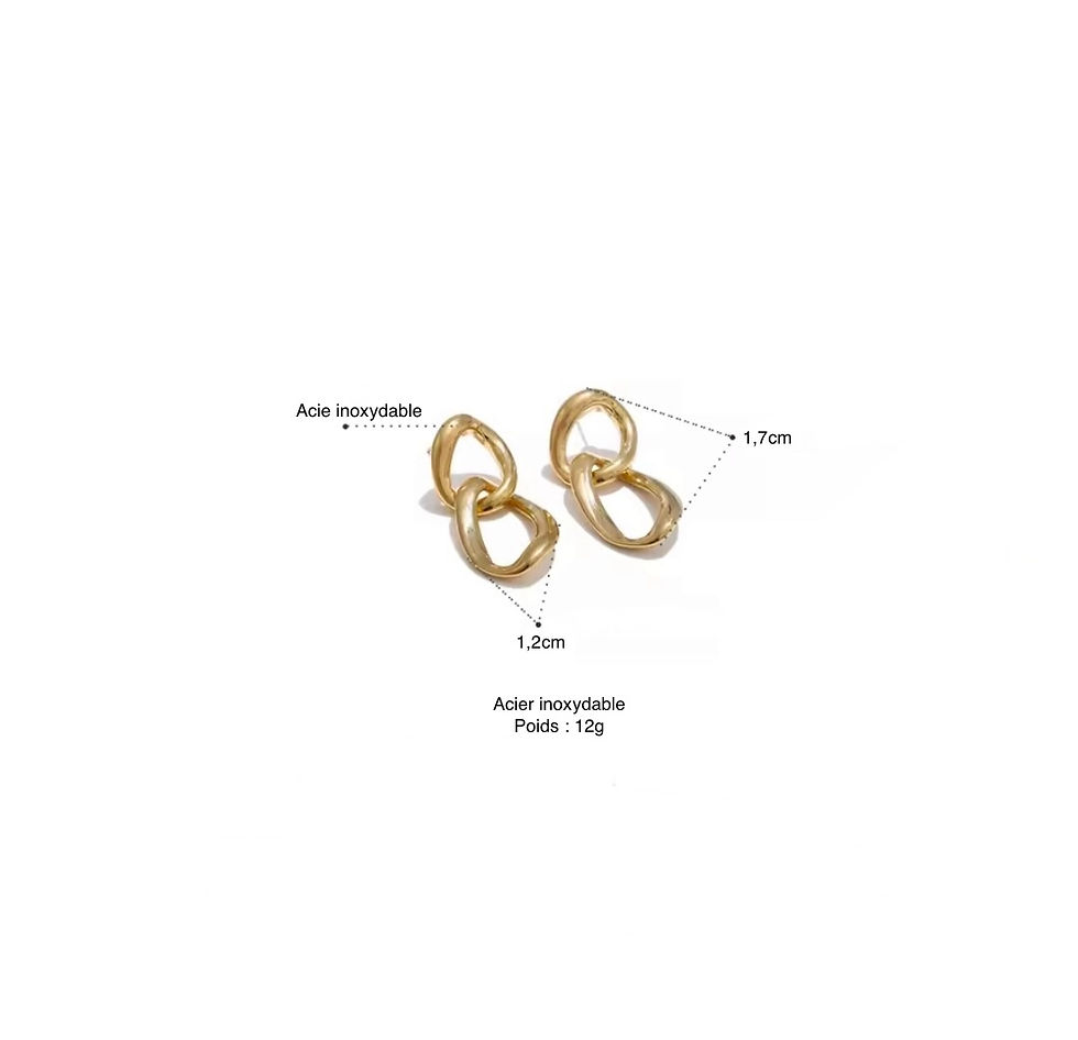 Miniature : boucles d'oreilles 2 ronds en acier inoxydable description