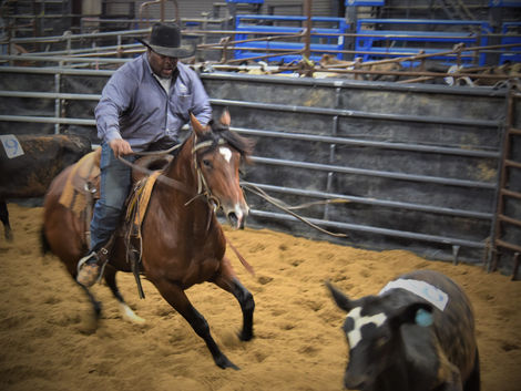 Why Horse Camps Make the Best Summer Adventures