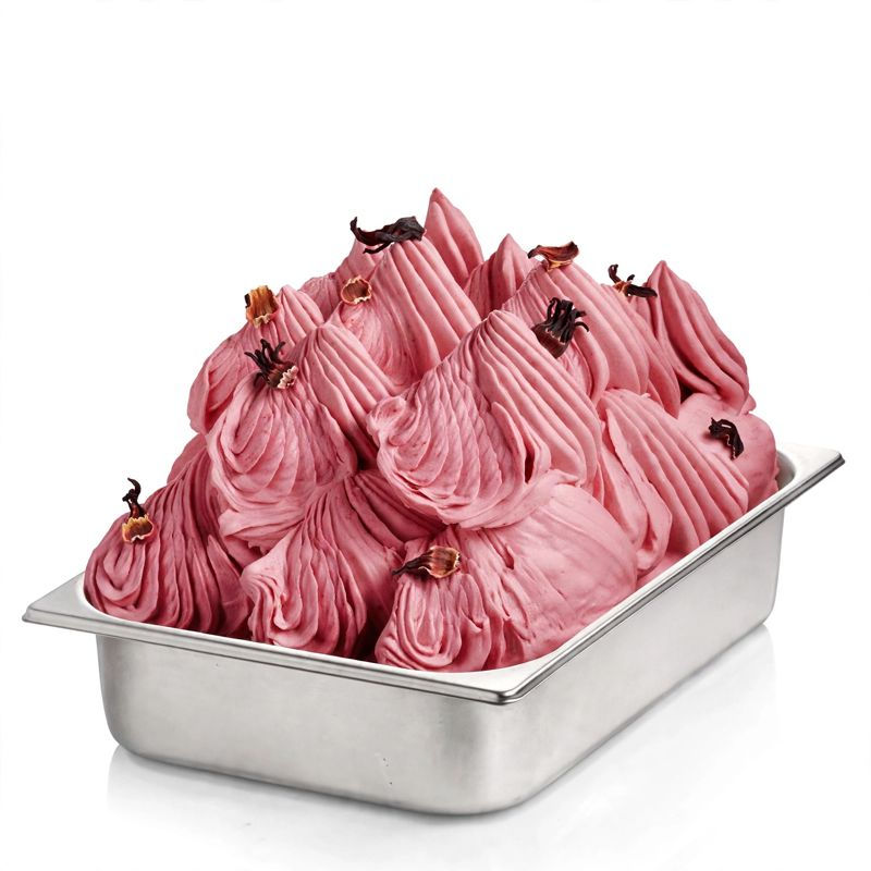 Cuba de gelado artesanal de hibisco de cor rosa viva e textura cremosa