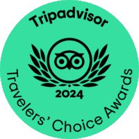 TC_green_winner-gif_L_2024.gif