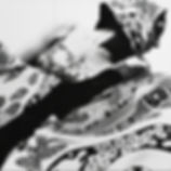 Leo Narducci-book-spread-13_edited.jpg