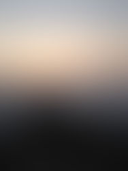 Who Am I and What Am I Doing Here?