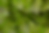 BG.png