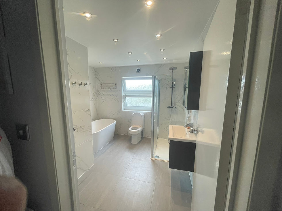 Full bathroom renovation