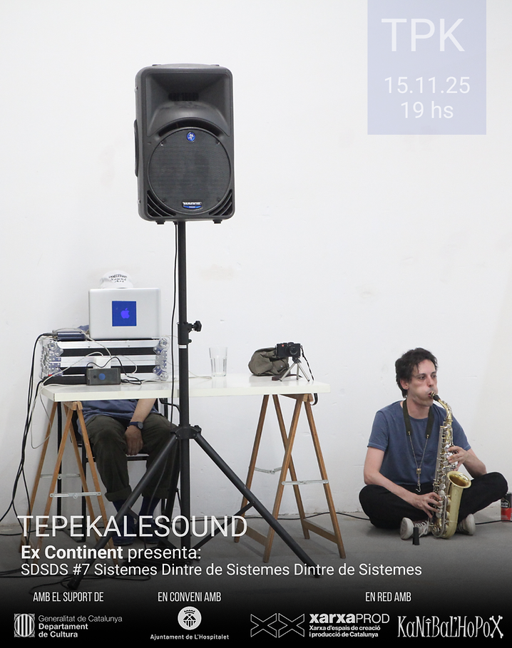 251115 SDSDS #7 Arnau Sala Saez.png