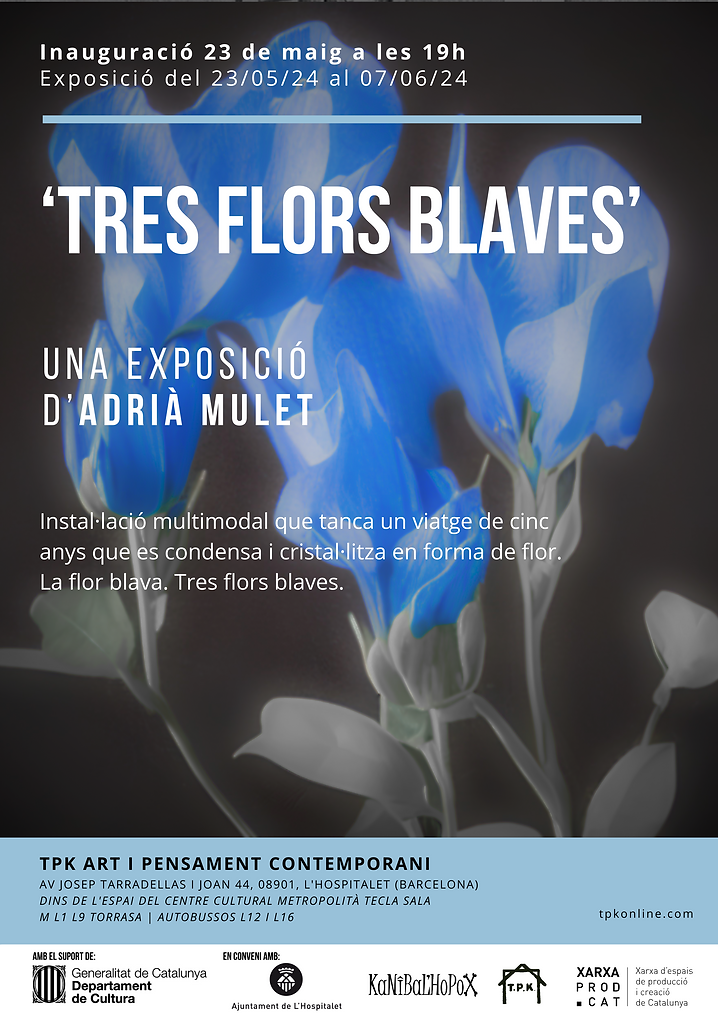 240523_CARTELL_3florsblaves.png