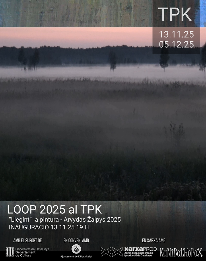 251113 Loop Arvydas Žalpys.png